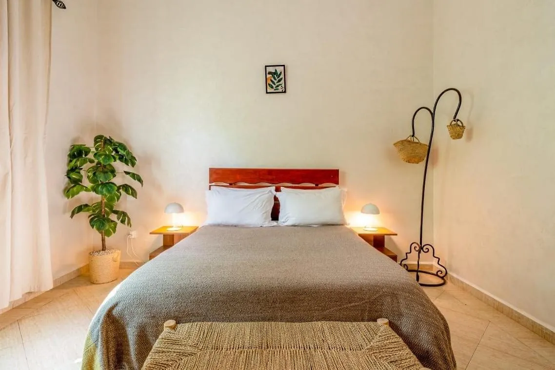Modern Oasis In Marrakech Apartamento Marraquexe Marrocos